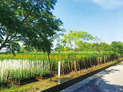 上海市林木種子生產(chǎn)經(jīng)營許可證的管理研究及農(nóng)副產(chǎn)品銷售協(xié)同發(fā)展