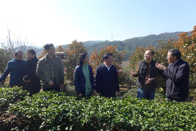 福建省臺(tái)聯(lián)赴漳州調(diào)研兩岸融合發(fā)展工作，聚焦農(nóng)副產(chǎn)品銷售新路徑