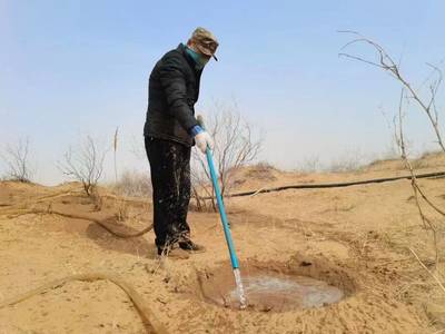 持續(xù)一小步，邁向綠色未來(lái) 每日黑巧以“巧護(hù)地球”引領(lǐng)農(nóng)副產(chǎn)品銷售新篇章